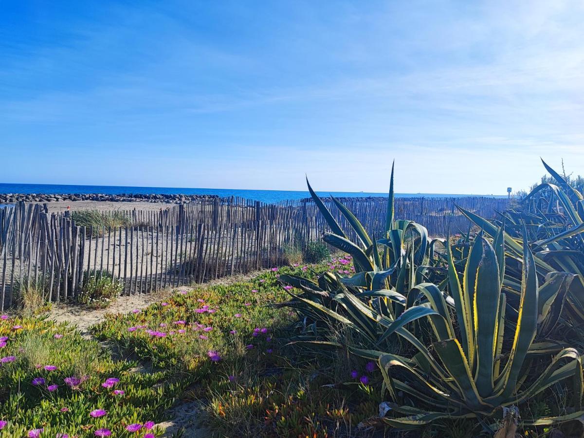 La Perle Bleue, 100 M De La Plage, Parking, Wifi Frontignan Zewnętrze zdjęcie